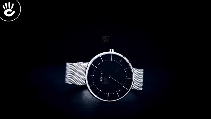 Review đồng hồ Skagen SKW2561: Phong cách giản dị cho nữ - Ảnh: 1