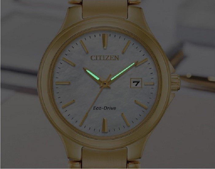 Đồng hồ Citizen EW2524-55N: Máy Eco-Drive, xà cừ - Ảnh 3