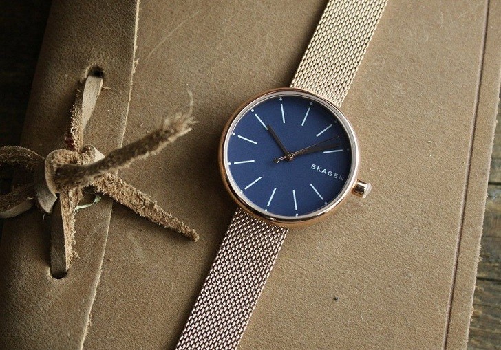 Đồng hồ nữ Skagen SKW2593 giá rẻ, mặt số xanh thanh lịch - Ảnh 2