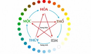 Tuổi Tân Mùi năm 1991 mệnh gì hợp màu gì hướng nào